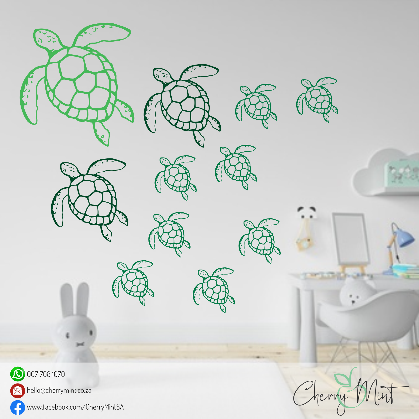 Turtle Layout Image